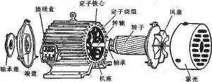 振動(dòng)電機(jī)損壞的常見(jiàn)原因有哪些？